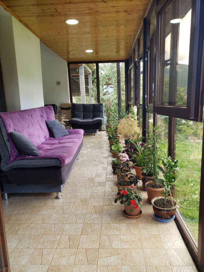 Guest House Nanu Mestia Exteriér fotografie